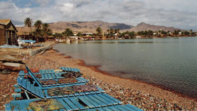 lagona island dahab