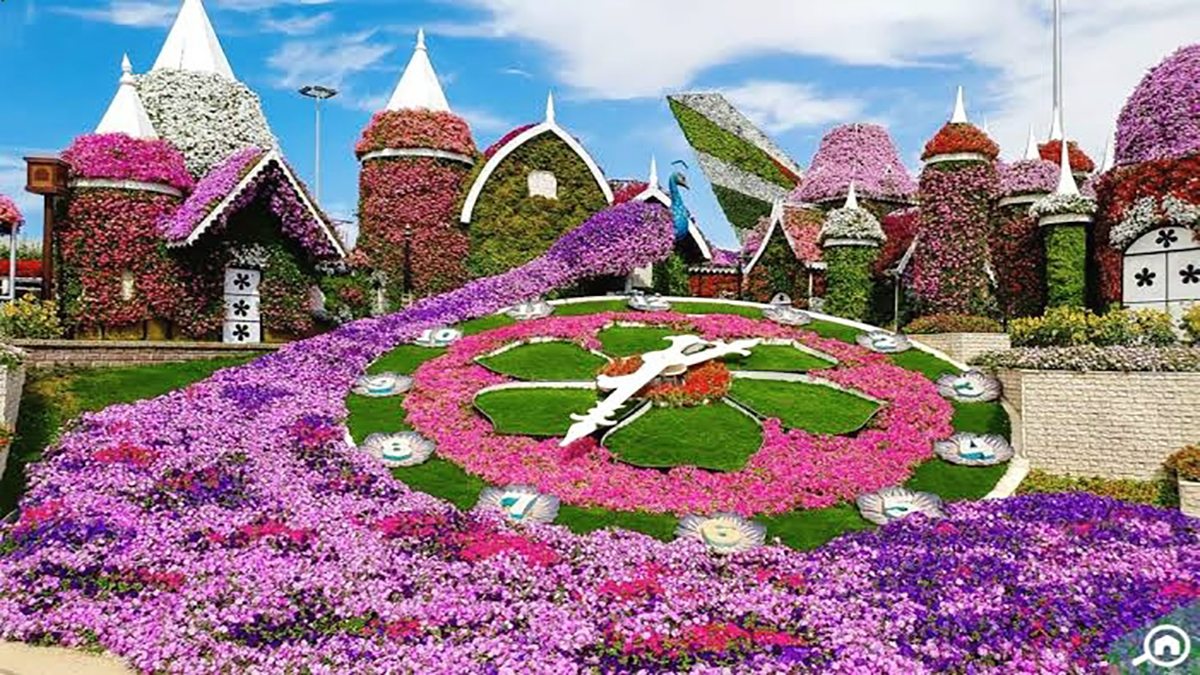 حديقة الزهور في دبي ..من أجمل حدائق العالم
