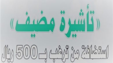 تأشيرة مضيف 2022