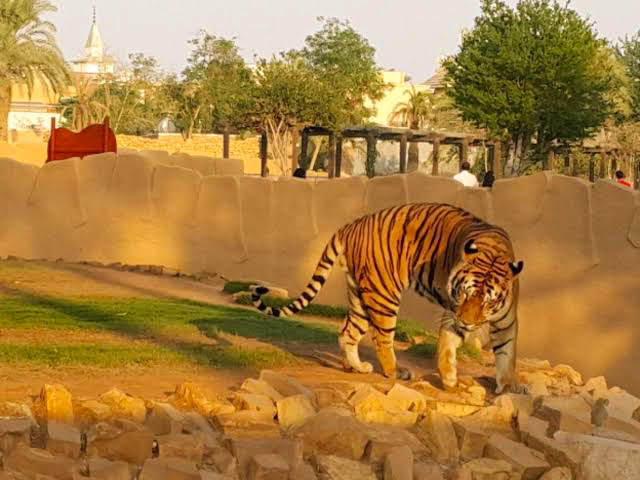 حديقة حيوان الرياض