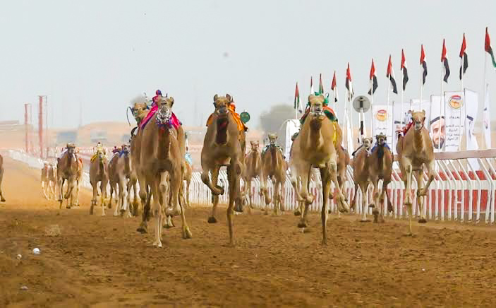 مهرجان نادي الإبل 2021