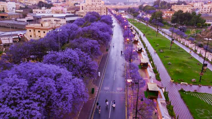 مدينة أبها السعودية