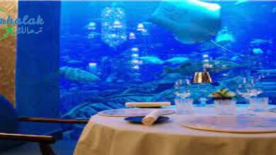 افضل مطعم تحت الماء في دبي