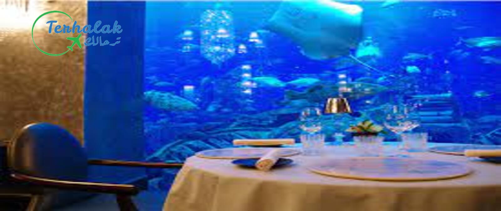 افضل مطعم تحت الماء في دبي