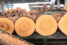صناعة أشكال من خشب الأشجار