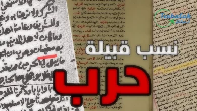 قبيلة حرب معلومات عن تاريخها ، نسبها في عهد رسول الله صل الله عليه وسلم